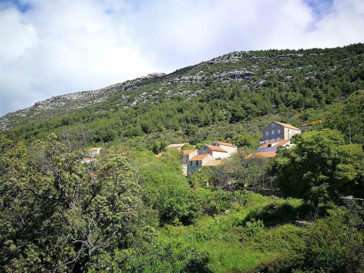 Countryside Vacation House Vitez Babino Polje エクステリア 写真